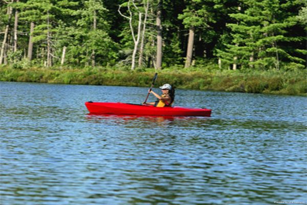 Hotel The Lodge at Woodloch (Hawley)
